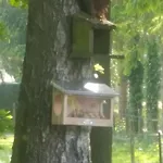 Nur Fuer Urlauber Familien In An Der Veluwe Krachtighuizerkern 22 & Free Bikes シャレー