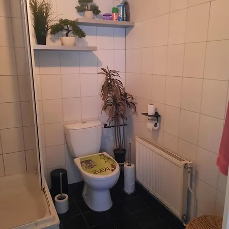 Alpesi faház Nur Fuer Urlauber Familien In An Der Veluwe Krachtighuizerkern 22 & Free Bikes