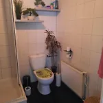 Chalet Nur Fuer Urlauber Familien In An Der Veluwe Krachtighuizerkern 22 & Free Bikes