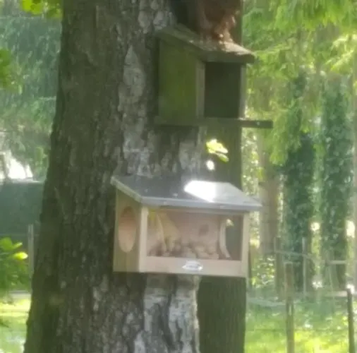 Nur Für Urlauber Familien In An Der Veluwe Krachtighuizerkern 22&free Bikes Chalet